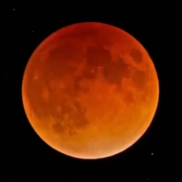 Meet your Posher, Aury - Picture 1 of 2